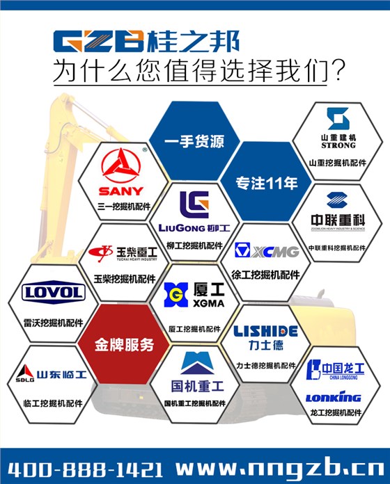 山東臨工挖掘機(jī)250配件