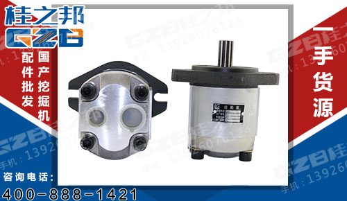 柳工挖掘機配件批發(fā) 發(fā)動機先導(dǎo)齒輪泵  11C0122